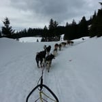 Mit dem 10er Gespann bei uns in den Bergen unterwegs.