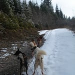 Na Chef, was meinst du; Vollgas?!