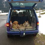 Unsere neuen Freunde...