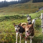 Ankunft bei der Hütte...