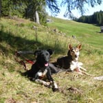 Kleine Wanderung, Herbstsonne geniessen!