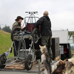 schön wenn man Doghandler hat ;-)