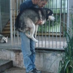 Tsts, eine Dame fragt man doch nicht nach dem Gewicht...