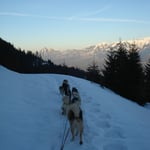 Und schon gehts wieder heimwärts...