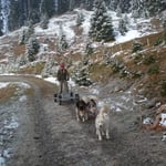 Jetzt geht's nur noch runter.