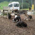 Mamma hat alles im Griff