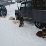 Nach 11km und 146 Höhenmeter, einen Trainigswagen + Person durch 10 -15cm Schnee ziehen,