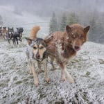 Danke Frau Holle, das hat uns gerade noch gefehlt ;-)