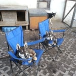 Siri und Smilla, die kleinen Damen geniessen es.