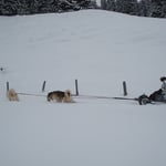 Bis zu 15cm Schnee, es war hart Arbeit!