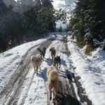 Herrlich, dieser Ausflug...