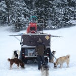 Absolut kein Haar in der Suppe ;-))