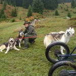 Niya war von der körperlichen Betätigung nicht so begeistert!