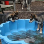 Juhuuui, Swimmingpool