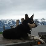 So, und jetzt nimmts Finn wieder gemütlich...