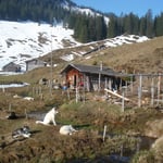 Das Stak-Out direkt am Bächli...