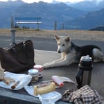 Der Käse riecht sooooooo gut...