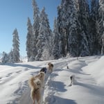 Schon bald waren wir aus dem Nebel und inmitten einer Märchenwelt!