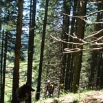 War auch ein gutes Leadertraining.