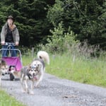 Fjäll nun in Singellead.