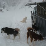 Niya durfte wie immer frei rumgurken.