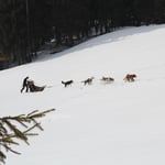 Es geht steil nach oben - da kommt man(n) ins schwitzen!