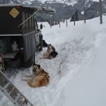 waren alle müde und zufrieden.