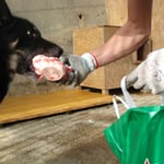 Chumana ist noch skeptisch, aber nicht für lange...