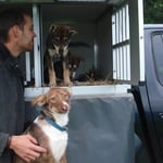 Autofahren ist für alle drei kein Problem, super!