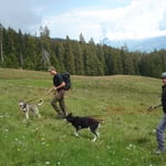 Neue Trainingsstrecken auskundschaften.