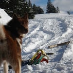 Willow will looooooooos!