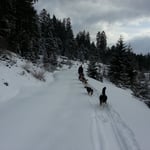 Das zweite Team hat es immer etwas leichter.