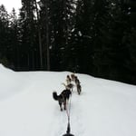 Nicht mehr weit bis zum Rastplatz.