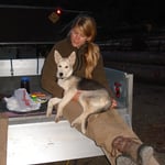 Taiga - La Princispessa