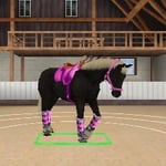 Best Friends – Mein Pferd 3D