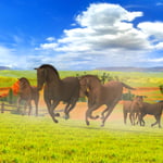 Meine Tierstation im Outback 3D