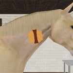 Best Friends – Mein Pferd 3D