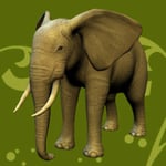 Meine Zoo-Tierarztpraxis 3D