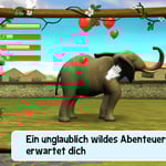 Meine Zoo-Tierarztpraxis