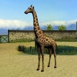 Meine Zoo-Tierarztpraxis 3D