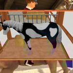 Riding Star - Champion im Sattel