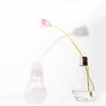 Christian Loroch - Paradox