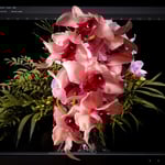 Tina Holm - peek out