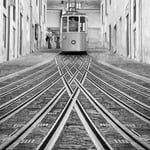 Birgit Petrasek - Das schaffen wir