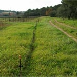 Protection d'un verger