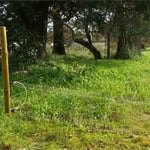 Clôture électrique à la Farlède