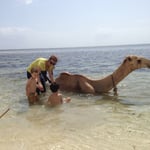 отдых с детьми в Кении