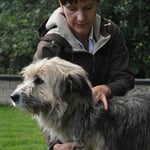 Palpieren der Halswirbel und Der Muskulatur beim Hund