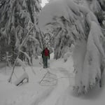 Bodenmais, Silberberg, Arber, Schneeschuhwandern, Schneeschuhverleih, Schneeschuhtour, Skischule, Chamer Hütte, Gutsalm Harlachberg, Kuh Alm, Bergknappenhof, Bodenmaiser Hof, Osser, Falkenstein, Hennenkobl, Bretterschachten, Winter, Aktiv