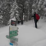 Bodenmais, Silberberg, Arber, Schneeschuhwandern, Schneeschuhverleih, Schneeschuhtour, Skischule, Chamer Hütte, Gutsalm Harlachberg, Kuh Alm, Bergknappenhof, Bodenmaiser Hof, Osser, Falkenstein, Hennenkobl, Bretterschachten, Winter, Aktiv